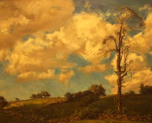 Zomerwolken